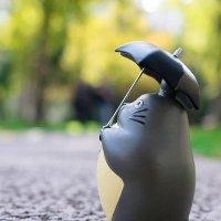 王晓坡