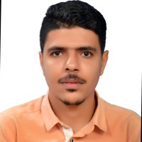 عمرو النجار