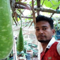Md. Jakir Hossain