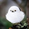 강한빛