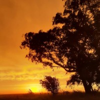 Daniela Cuñado y de San Francisco