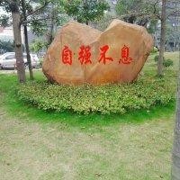 周其辉