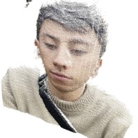 Levin Budihardjo Welim