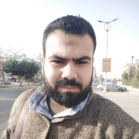 Mahmoud Aboelmahsen