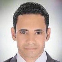 Hossam Shehata