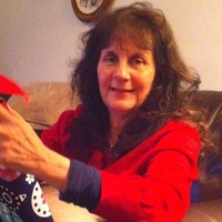 Paula Kurth