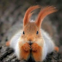 Юлия Матвиенко