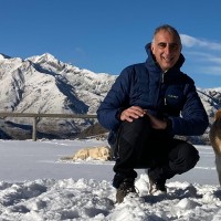 Stefano Aiazzone