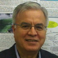Francisco A. Tomei Torres