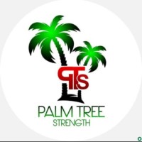 palm tree
