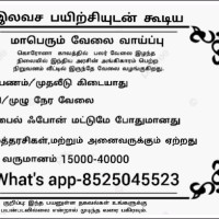 Global Job Consultant