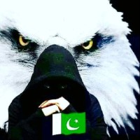 Burhan 💻Ameen