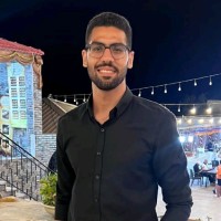 Mostafa Mansour
