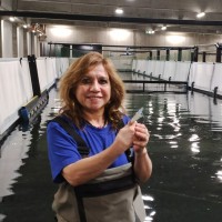 Sandra Janeth Chavez Zambrano