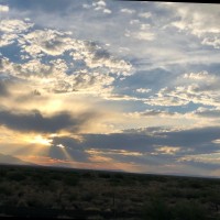 Dr. Tonya Sumner Brown