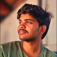 Vimal V P