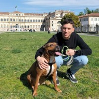 Davide Stefanini