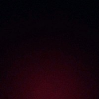 Daniyal Saleem
