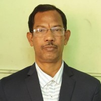Mridul Roy