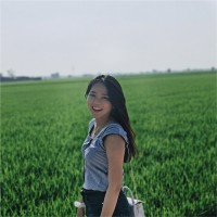 Mei Ying Koh