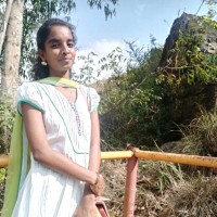 Chandini D B