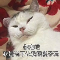 薛于春
