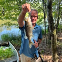 Mike Biesecker