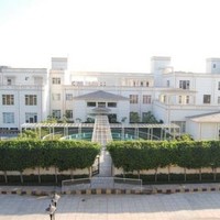 Treehouse Hotel Club