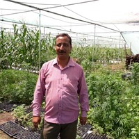 Ashish Gouraha