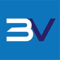 Blue Viper Corporation