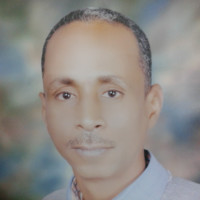 صلاح محمود