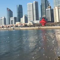 刘苍龙