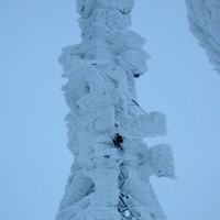 Stergios Theocharidis