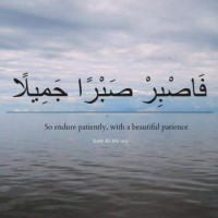 Noor M