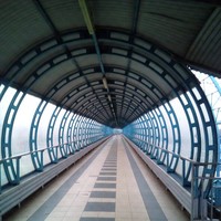 Владимир Загурский