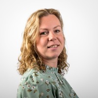 Gelske Stellingwerf