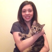 Emily Albers