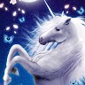Lord Unicorn