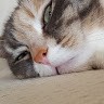 Marzia Abbondini