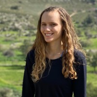 Yuval Stein