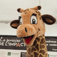 Myrtille • Impact Evolution