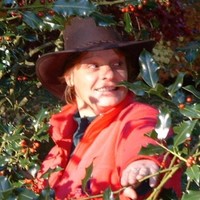 Alyson Freegard