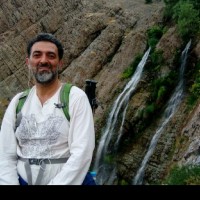 seyed mohammad javad mousavi