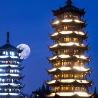 杨剑楠