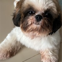 Aldrin Gomez