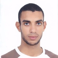 Tarek Toumi