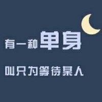 戴婷彦
