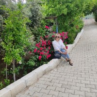 Yüksel Köse