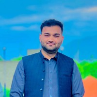M Hamid Safi
