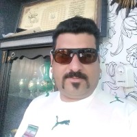 Saeed Namdari